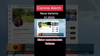 Neue Corona-Variante ( XXB1.5 )