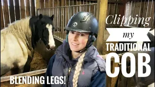 CLIPPING MY PONY | Clipping my traditional cob | leg blending| Team Motley Equestrian