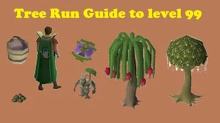 Ultimate Tree Farming Run Guide 2024 OSRS
