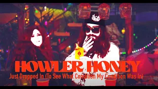 Howler Honey "Just Dropped In (To See What Condition My Condition Was In) [Official Visualizer]