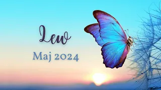 Lew ♌ Maj 2024 🦋 Jesteś gotów!🦋 Ziarna teraz zasiane przyniosą piękne plony w przyszłości 😊