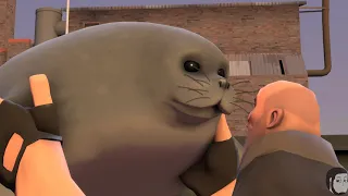 [SFM] Hey look! A seal!