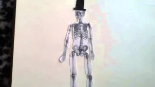 Dapper Skeleton