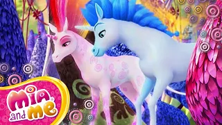 The Unicorns Don't Know They're In Danger! - Mia and me - Season 2🦄🌈