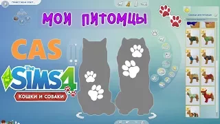 ✦ CAS: Создаю своих домашних питомцев в The Sims 4 Кошки и Собаки | 5 фактов ✦