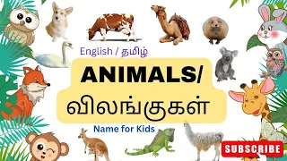 Animals Name in English and Tamil | விலங்குகளின் பெயர்கள் | Animals with Picture | Vilangugal peyar