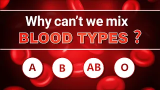 Why can't we mix Blood Types? | Science Curiosity | Letstute