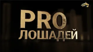 PRO_ЛОШАДЕЙ. Форвард Лок. Эфир 02.10.2022 11:55