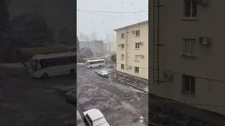 16 марта 2022 г. В Сухуме пошёл снег и растаял через полчаса 🤷🏻‍♂️         сухум#абхазия