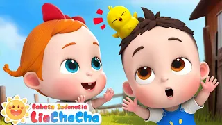 Lima Ayam Kecil 🐣| Lagu Menghitung Ayam Kecil | LiaChaCha ☀️| Lagu Anak | LiaChaCha Bahasa Indonesia