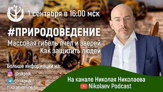 ПРИРОДОВЕДЕНИЕ: Массовая гибель пчел и зверей | Как защитить людей // Программа природоведение