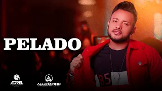 ALLANZINHO - PELADO