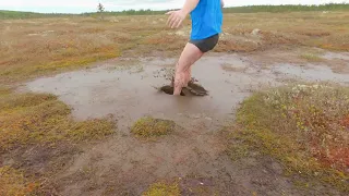 Quick bog jump at new swamp