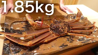 GIANT MATSUBA CRAB WEIGHING 1.85 KG! - 【Japanese Food】【japan travel】【Omakase】【tokyo vlog】