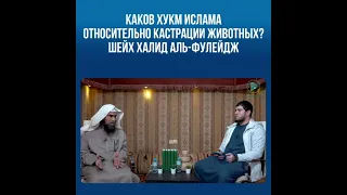 Каков хукм Ислама относительно кастрации животных?Шейх Халид аль-Фулейдж.