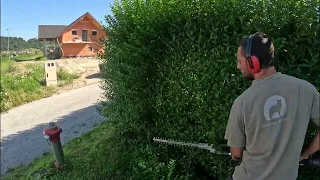 Satisfying Hedge Trimming | #husqvarna 525HE3 | GoPro Hero 11