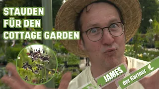 Cottage Garten – diese Stauden zaubern englisches Ambiente  | James der Gärtner