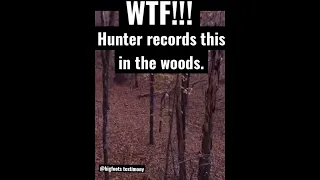 Hunter Here’s bloodcurdling screams in the woods