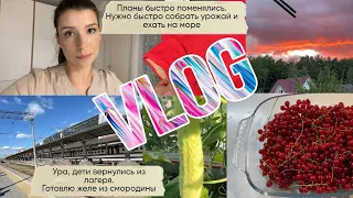 VLOG143 Едем на море /успеть все перед отпуском. Дети вернулись! покупки к отпуску Желе из смородины