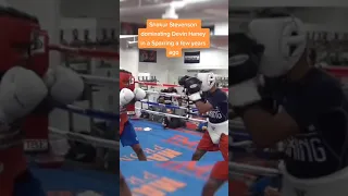 Devin Haney vs Shakur Stevenson Sparring session