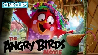 Cake Delivery | The Angry Birds Movie | CineClips