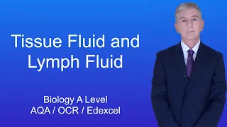 A Level Biology Revision "Tissue Fluid and Lymph Fluid"