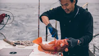 Rockfish Ikejime - Explained