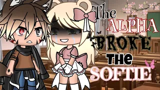 The Alpha Broke The Softie || Gacha Life Mini Movie || • GLMM •