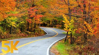 3,5 HRS Scenic Autumn Drive through Colorful Forests - 5K Discovering NY State from a Car Window