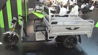 Volta VT5 Cargo Trike (2020) Exterior and Interior