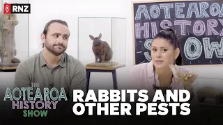 The Aotearoa History Show S2 | Episode 1: Rabbits and Other Pests
