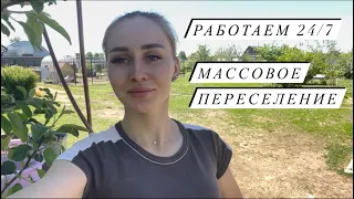 В 23 года, что же забыла в деревне?!Мои будни и мне это нравится!