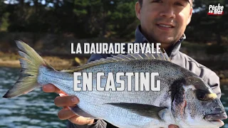 Pêche de la daurade royale en casting (Golfe du Morbihan)