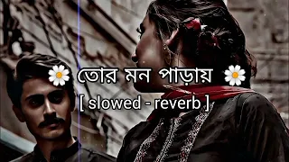 Tor_ MON _paray _Thakte _De _Amay _best Bengali romantic Lofi songs ( Slowed And Reverb )