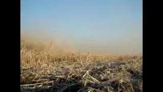 Harvest Deberi.avi