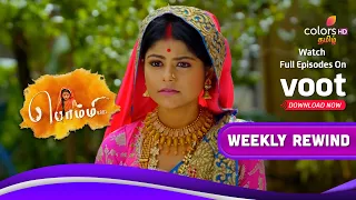 Bommi .,BA.,BL., | பொம்மி BA.BL | Ep.371 To 375 | Weekly Rewind