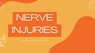 Nerve injuries / Neuroanatomy
