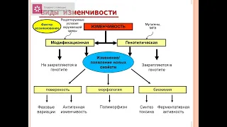 Лекция№5Генетика бактерий new