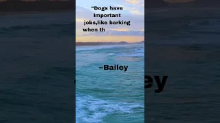 A Dogs Purpose Quote