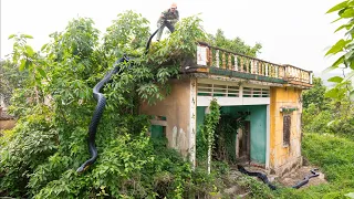 SHOCK Neighbors were terrified and did not dare to go near the abandoned house for fear of danger