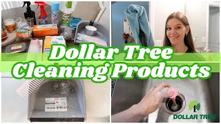 TESTING DOLLAR TREE CLEANING PRODUCTS FALL 2023