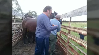 Meseta de Artigas 2018 EL PALENQUE