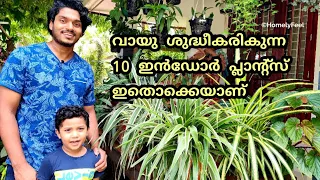 Air Purifying Plants Recommended By NASA | in Malayalam | Diyab | HomelyFeel