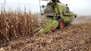 Claas 75 žetva kukuruza