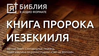 Библия. Книга пророка Иезекииля. Ветхий Завет. (Синодальный перевод)