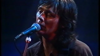 Shane Howard - Love is A River (live)