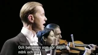 Max Raabe, Himmlische Musik...