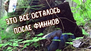 История КАРЕЛЬСКОГО ЛЕСА | ЭХОМ ИЗ ПРОШЛОГО