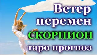 СКОРПИОН - ЧТО ПРИНЕСЕТ ВАМ ВЕТЕР ПЕРЕМЕН?  💯 ТАРО ❤️ ПРОГНОЗ ГОРОСКОП ГАДАНИЕ 🍀