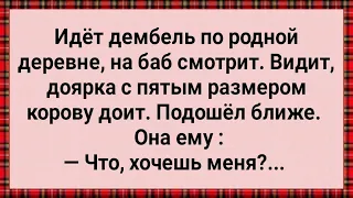 Как Дембель в Доярку Влюбился! Сборник Свежих Анекдотов! Юмор!